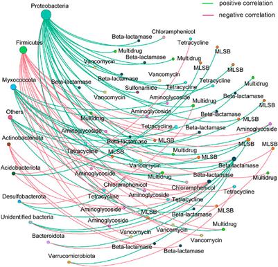 The Antibiotic Resistance Genes Contamination of Strawberries With the Long-Term Use of Raw, Aerobic Composting, and Anaerobic Composting Livestock Manure: A Comparative Study